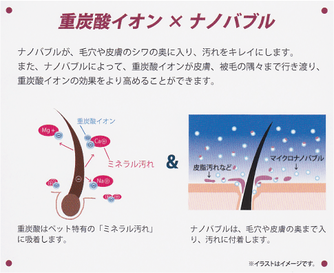 重炭酸イオン×ナノバブル ナノバブルが毛穴や皮膚のシワの奥に入り、汚れをキレイにします。また、ナノバブルによって重炭酸イオンが皮膚・被毛の隅々まで行き渡り、重炭酸イオンの効果をより高めることができます。